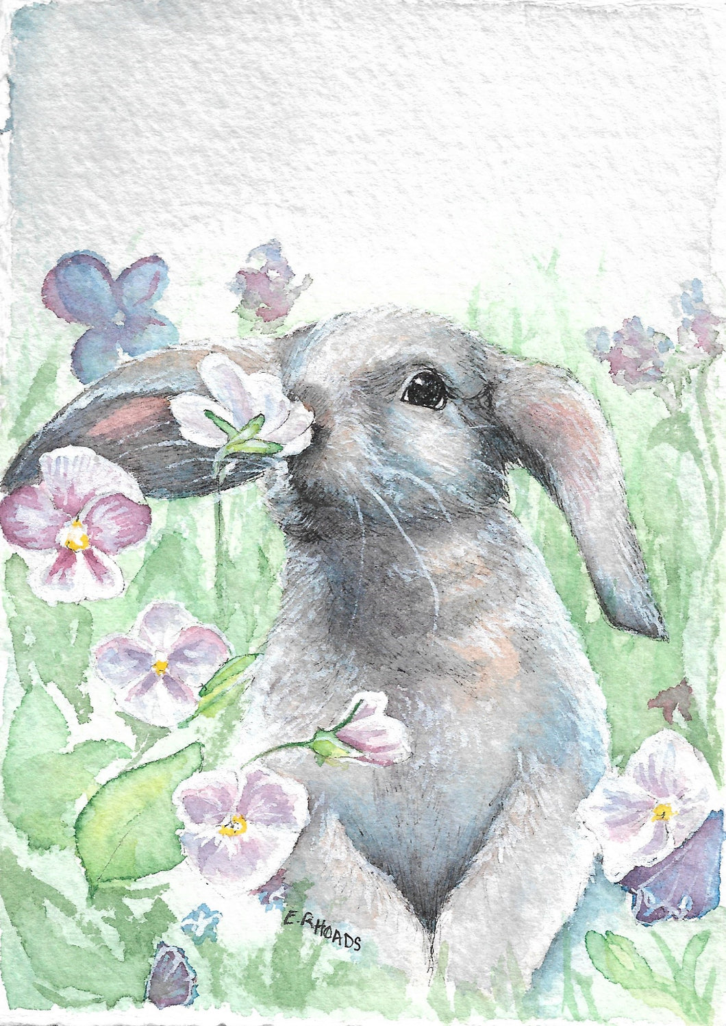 Blue Bunny- Fine Art Print 5x7