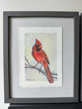 Load image into Gallery viewer, Cardinal- Fine Art Print 5x7

