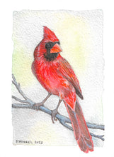 Load image into Gallery viewer, Cardinal- Original Artwork 5x7
