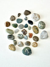 Load image into Gallery viewer, Michigan Rocks Shadowbox- Rock Group B