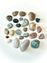 Load image into Gallery viewer, Michigan Rocks Shadowbox- Rock Group D