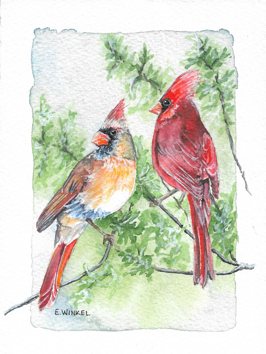 Pair of Cardinals- Fine Art Print 5x7