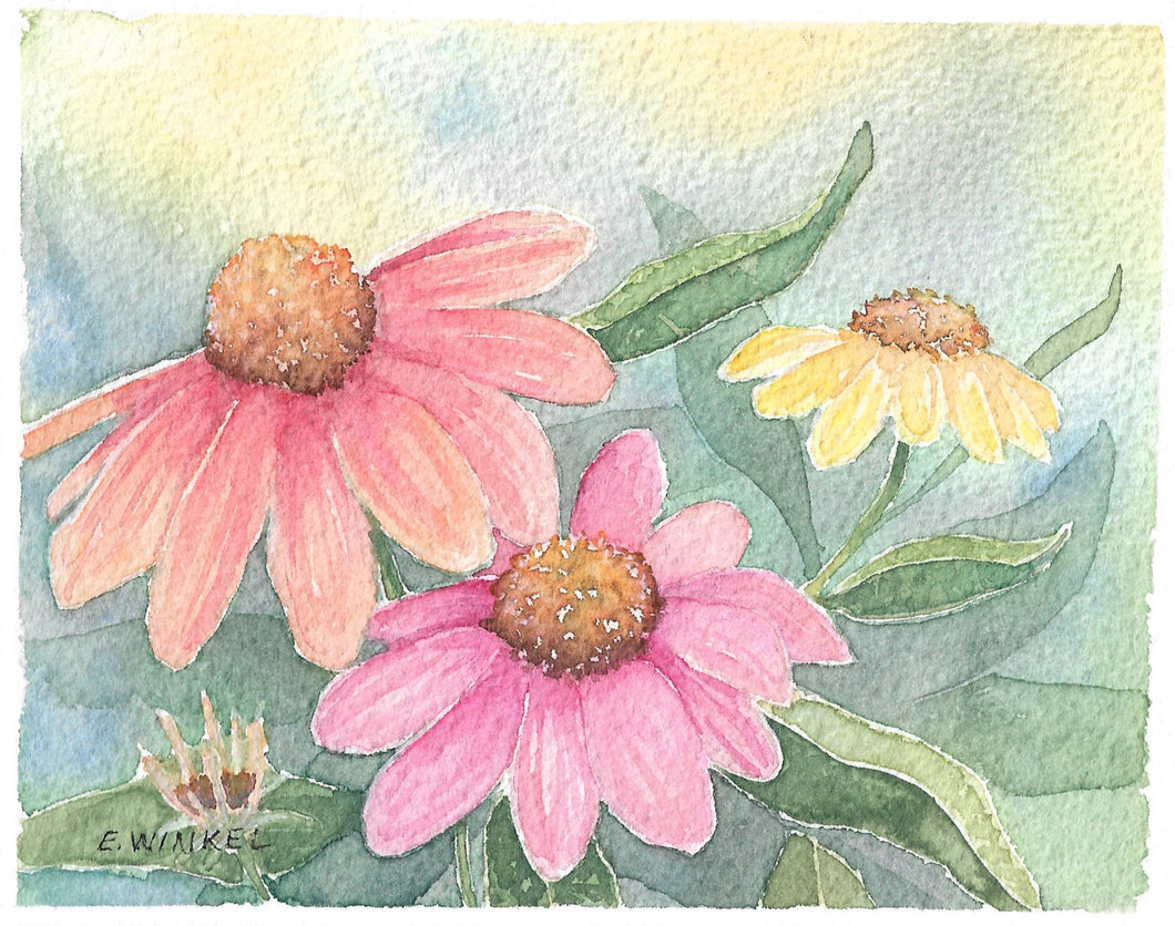 Coneflowers- 8x10in Fine Art Print