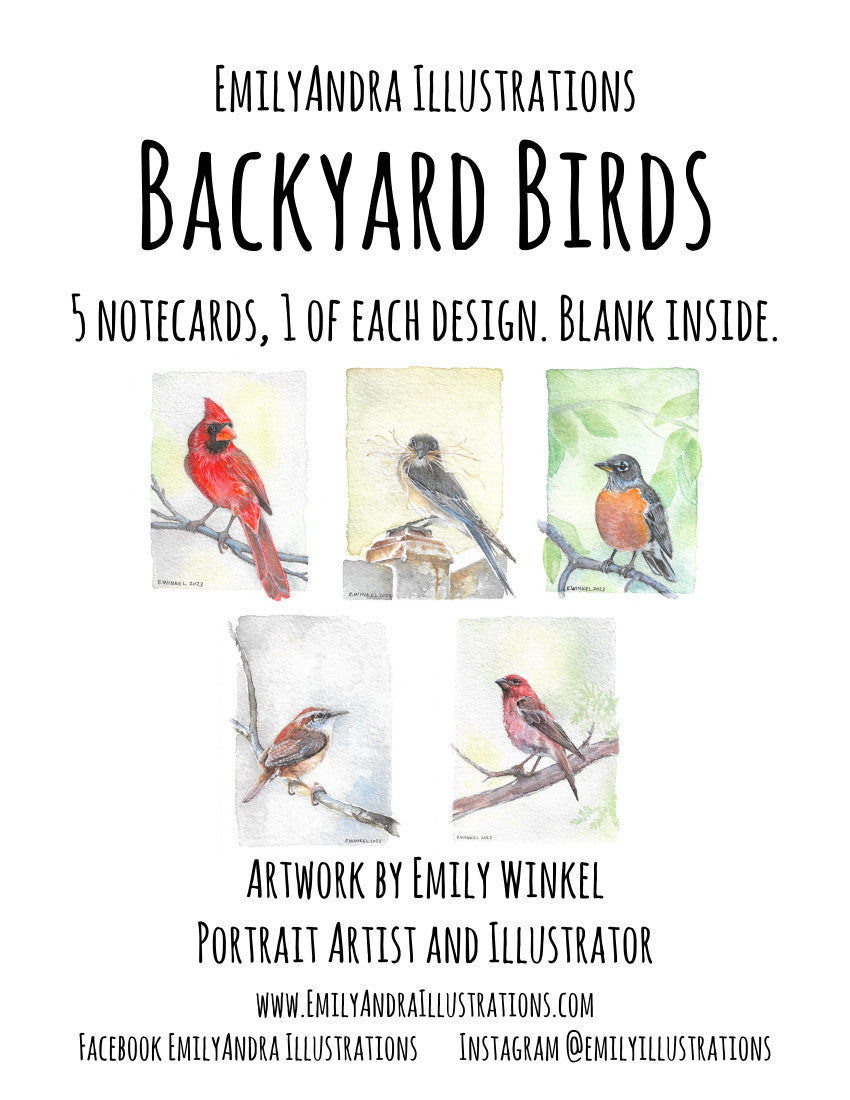 Backyard Birds- Boxed Set of Cards