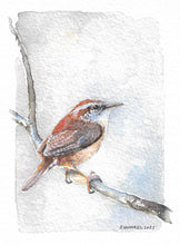 Load image into Gallery viewer, Carolina Wren- Fine Art Print 5x7
