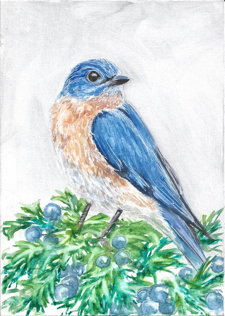 5x7in Watercolor Original- Eastern Bluebird