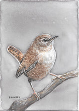 Load image into Gallery viewer, 5x7in Watercolor Original- House Wren
