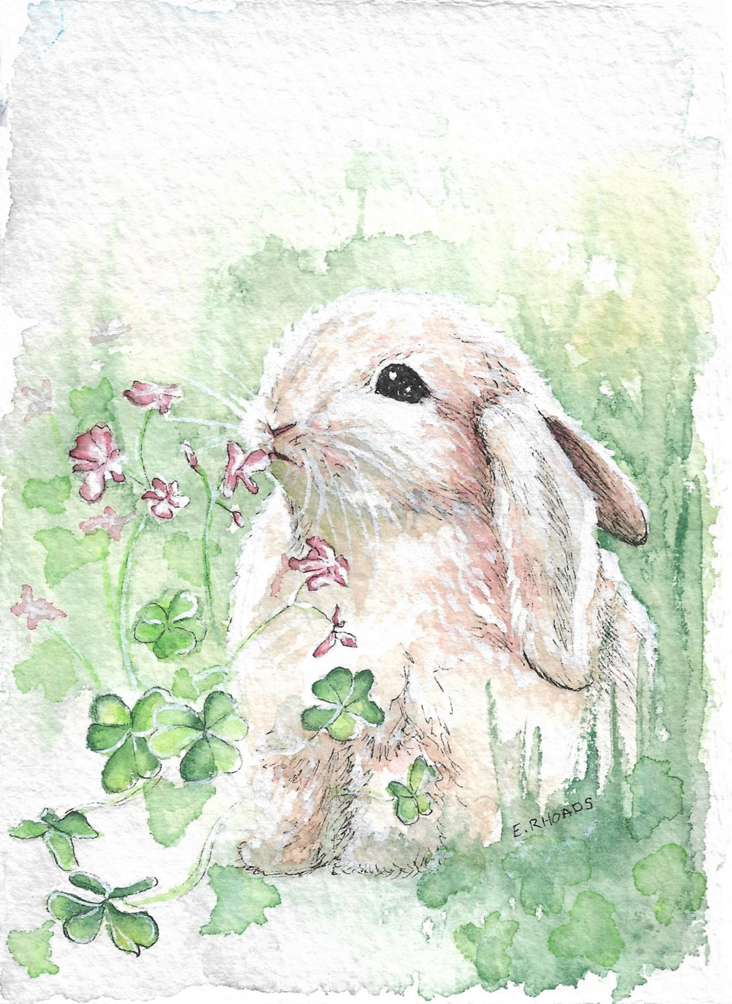 Irish Bunny- Fine Art Print 5x7