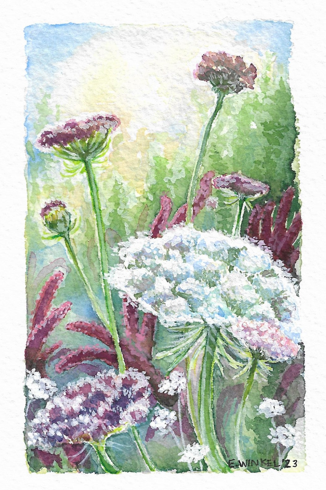 Lace Flowers- Fine Art Print 4x6