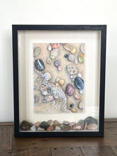 Load image into Gallery viewer, Michigan Rocks Shadowbox- Rock Group C
