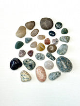 Load image into Gallery viewer, Michigan Rocks Shadowbox- Rock Group A
