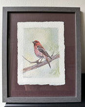 Load image into Gallery viewer, Purple Finch- Original Artwork 5x7
