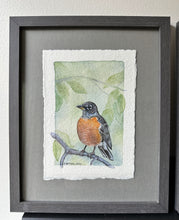 Load image into Gallery viewer, Robin- Fine Art Print 5x7
