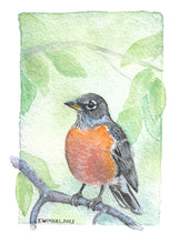 Load image into Gallery viewer, Robin- Original Artwork 5x7
