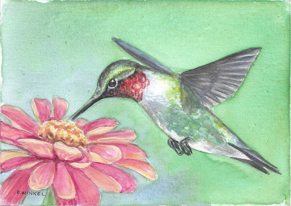 5x7in Watercolor Original- Ruby Throated Hummingbird