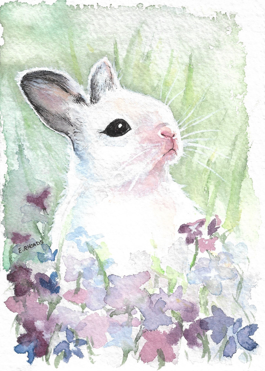 Whiskers Bunny- Fine Art Print 5x7