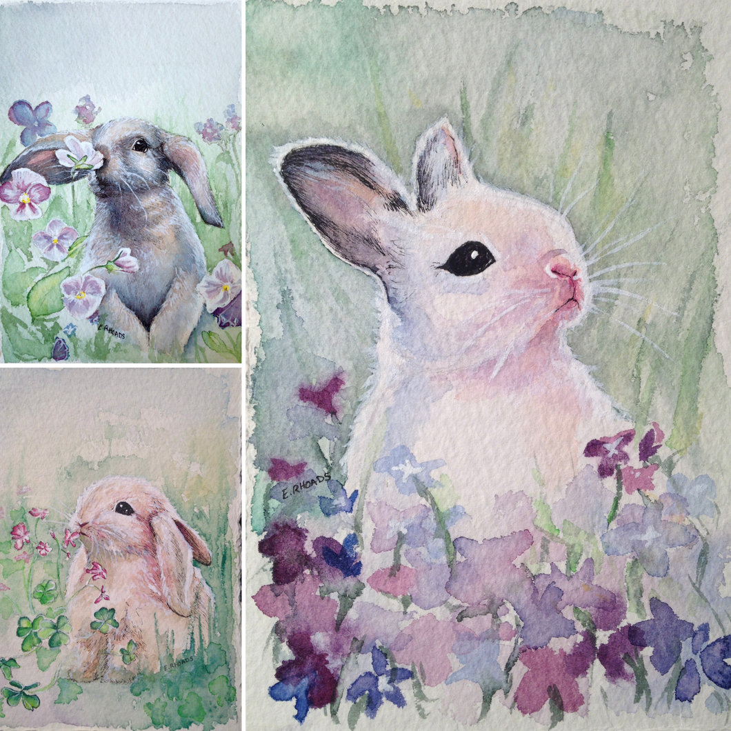 Three Bunnies- Boxed Set