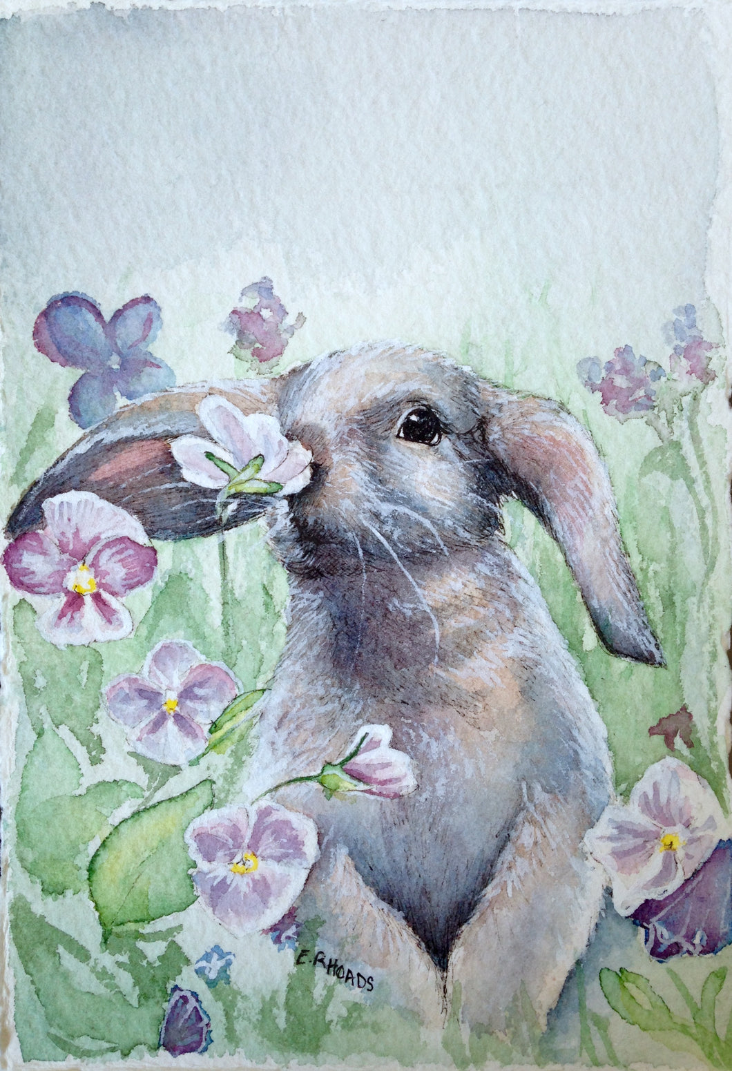 Blue Bunny- Single Card