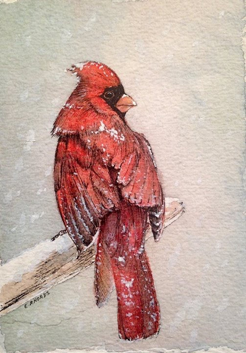 Cardinal- Single Card