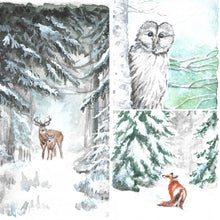 Load image into Gallery viewer, Woodland Winter- Boxed Set
