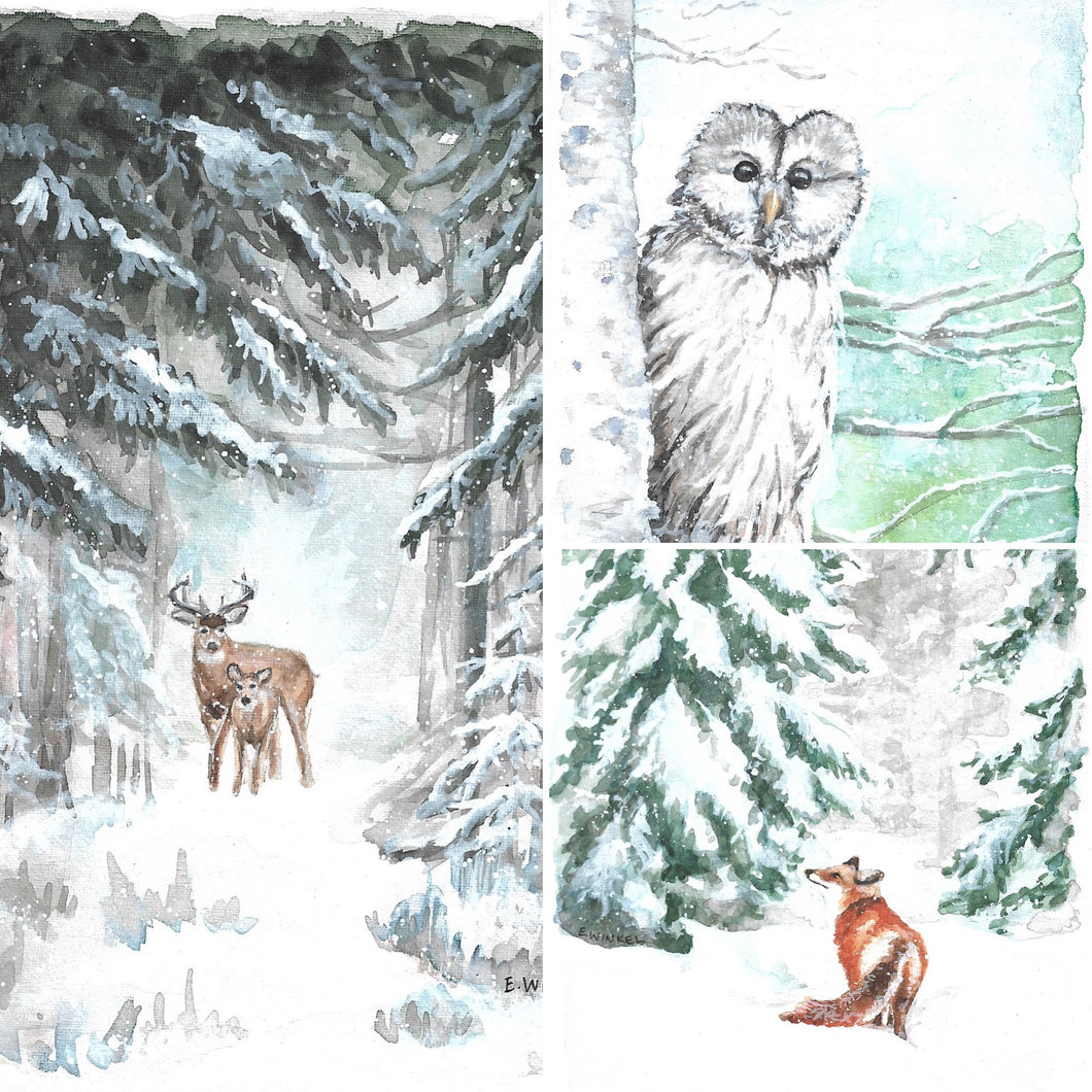 Woodland Winter- Boxed Set