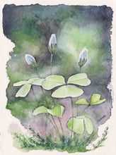 Load image into Gallery viewer, Shamrocks- Original Watercolor
