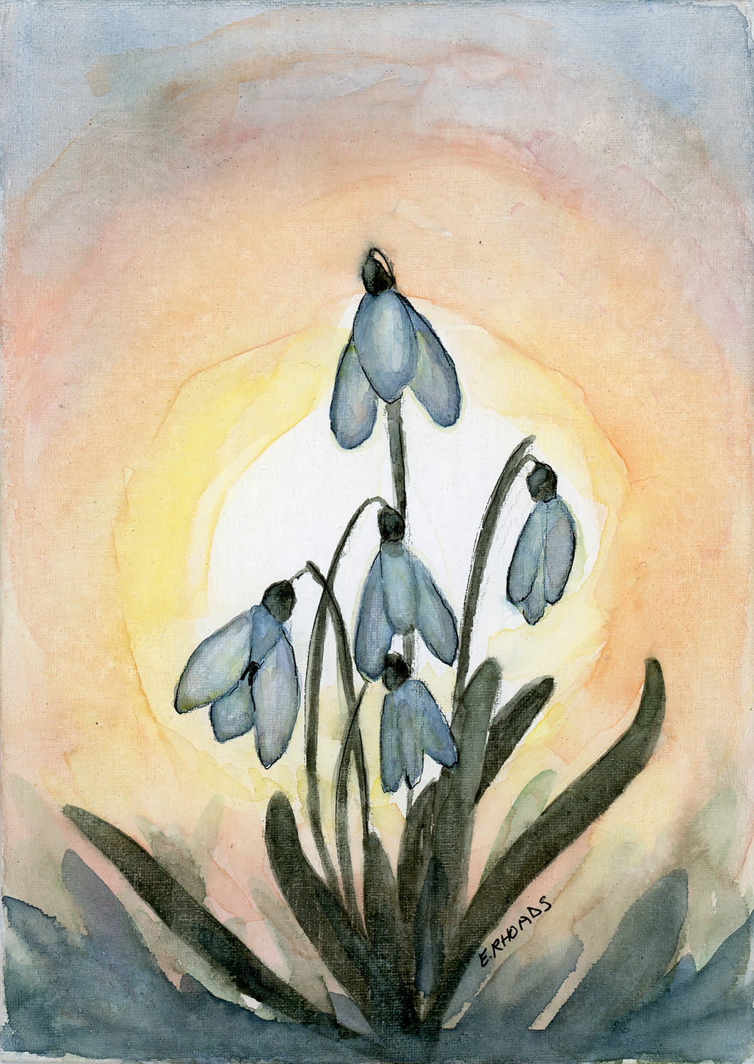 Snowdrops- Boxed Set