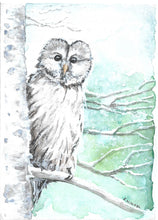 Load image into Gallery viewer, Woodland Winter- Boxed Set
