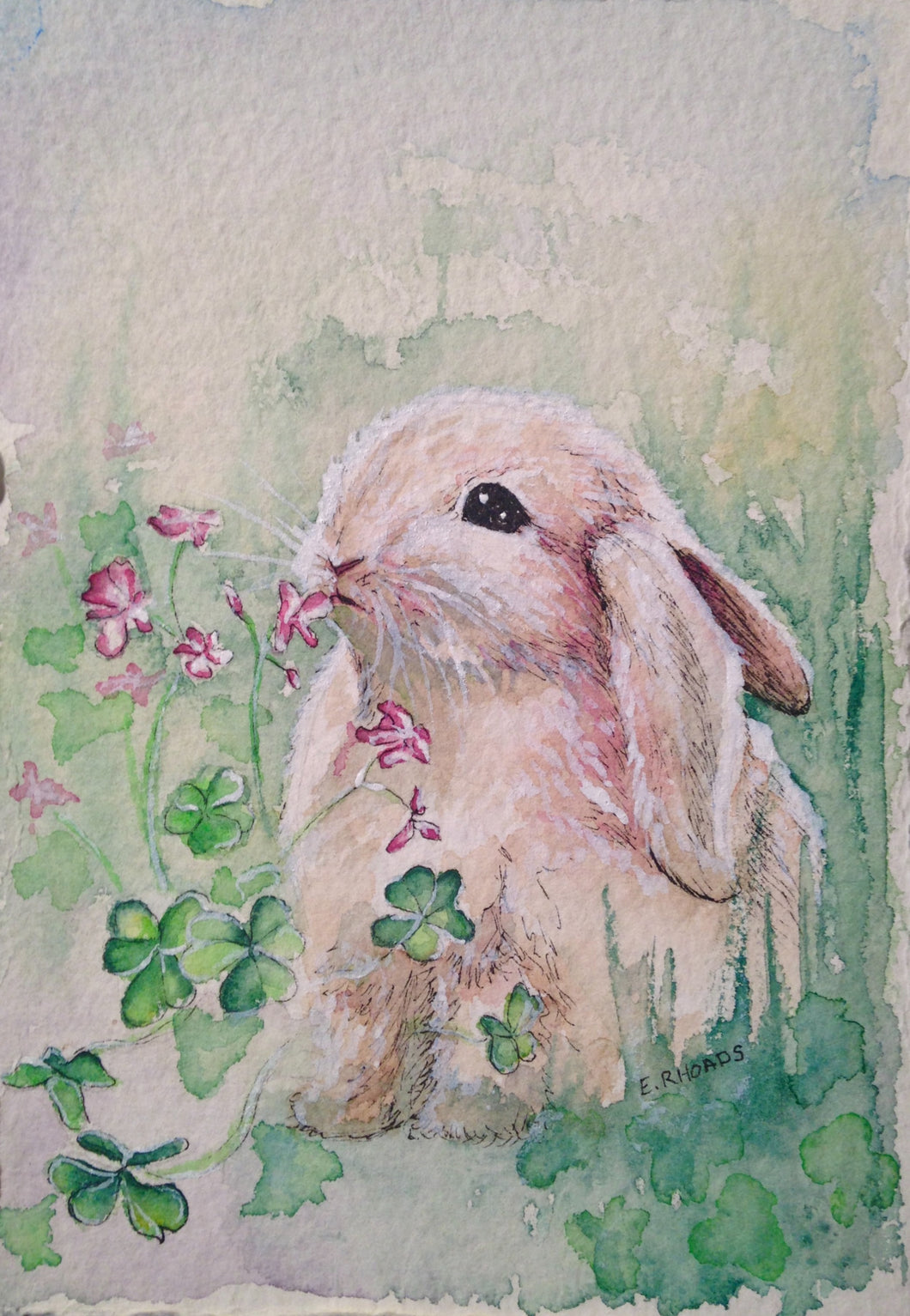 Irish Bunny- Single Card